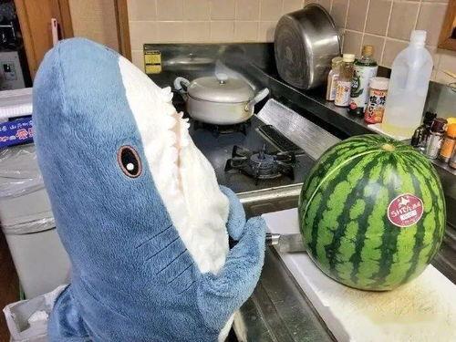 娱乐吃瓜鲨,揭秘娱乐圈那些不为人知的幕后故事