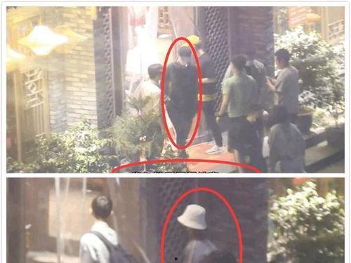 肖战杨紫娱乐吃瓜,吃瓜群众热议不断