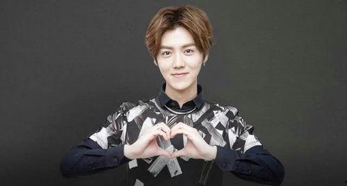 娱乐圈吃瓜猛料鹿晗小说,揭秘明星背后的秘密与激情