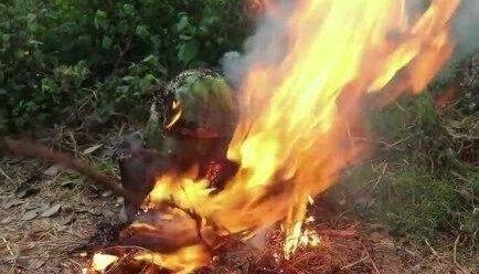 暗黑吃瓜官网入口免费观看,揭秘暗黑世界，畅享独家视听盛宴